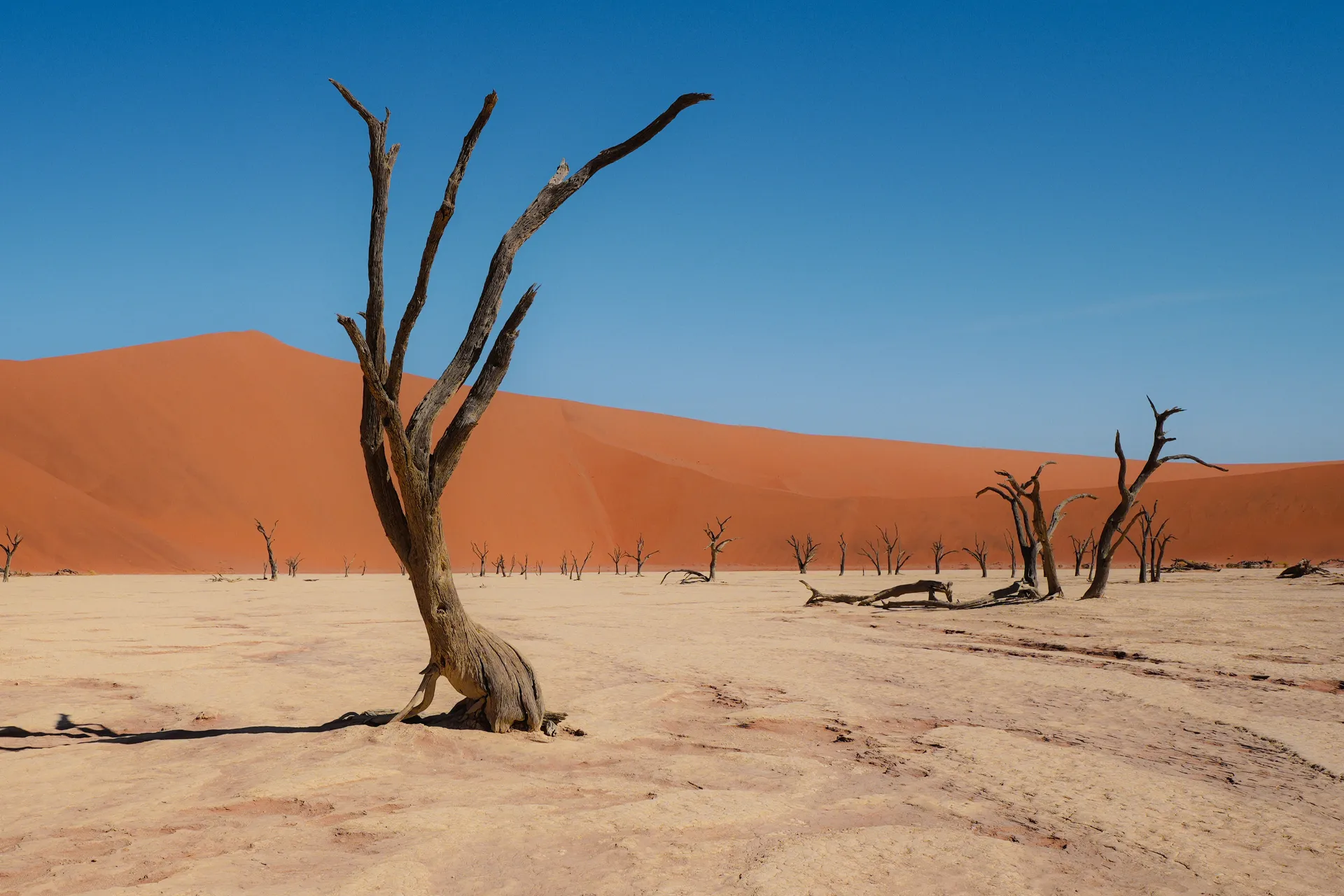 Roadtrip en Namibie et Afrique du Sud