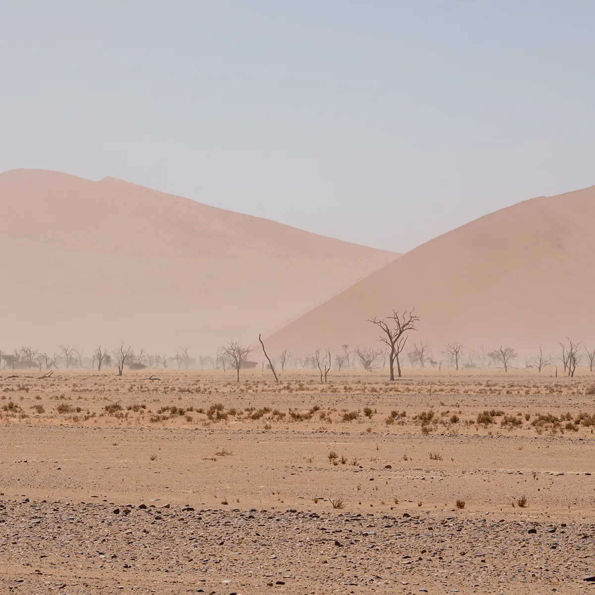 Sur la route de Sossusvlei