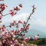 Voyage en Asie Guides