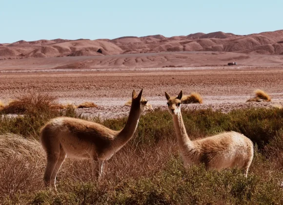 Voyage Amérique du Sud
